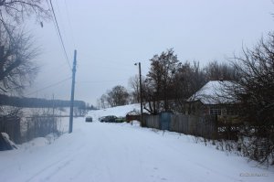 IMG_5280.JPG