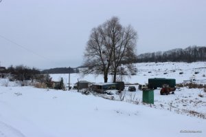 IMG_5265.JPG