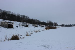 IMG_5189.JPG