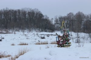IMG_5252.JPG
