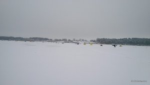 IMAG0859.jpg