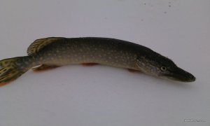 IMG_20170110_084006.jpg