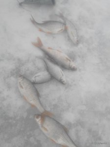 2017110105525.jpg