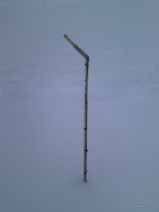 IMG_20170107_101155.jpg