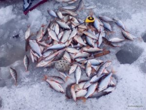 IMG_20170110_141702.jpg