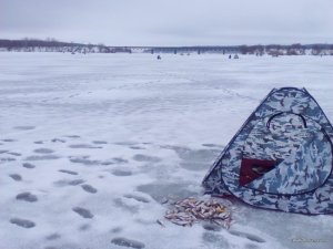 IMG_20170110_141719.jpg