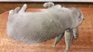20170111_160939.jpg
