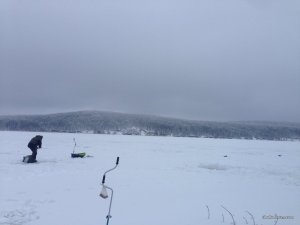 IMG_0613.JPG