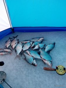 IMG_20170111_133519.jpg