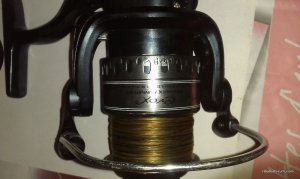IMAG0010.jpg