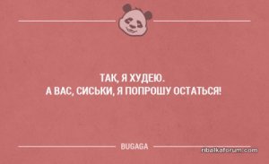 1484033110_7.jpg