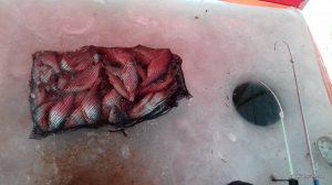 20170113_152117.jpg