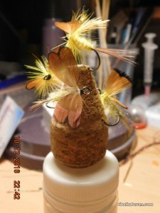 DSCN3340.JPG