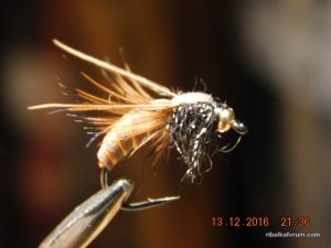 DSCN3404.JPG