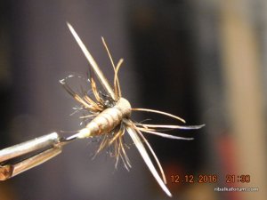 DSCN3358.JPG
