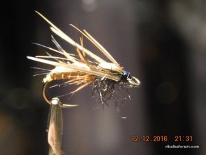 DSCN3359.JPG