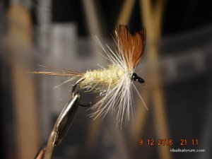 DSCN3330.JPG