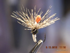 DSCN3272.JPG