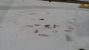 IMG_20170114_103904.jpg