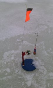 IMG_20170114_083812.jpg