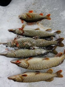IMG_20170114_114324.jpg