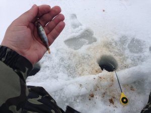 IMG_0626.JPG