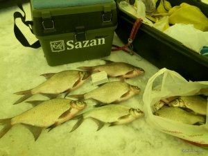 20170114131123.jpg