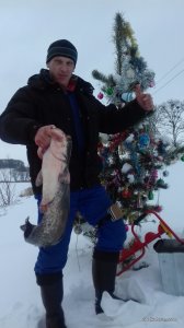 20170114_140804.jpg