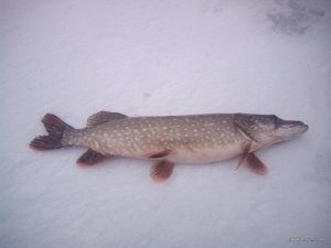 IMG_20170115_082221.jpg