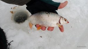 IMG_20170114_104837.jpg