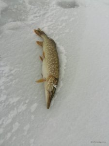 20170115_111214.jpg