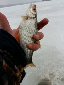 20170115_105605.jpg