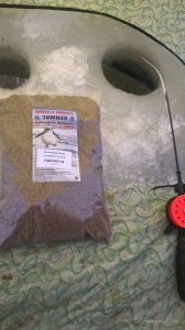 WP_20170114_10_17_28_Pro.jpg