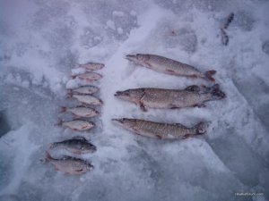 IMG_20170115_151233.jpg