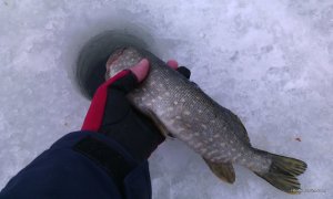 IMG_20170114_154138.jpg