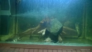 WP_20170115_003[1].jpg