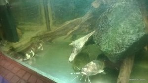 WP_20170115_004[1].jpg