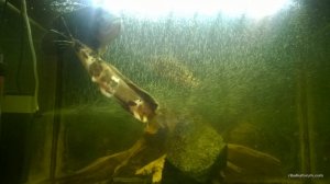 WP_20170115_008[1].jpg