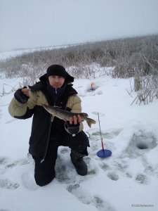 IMG_20161231_073307.jpg