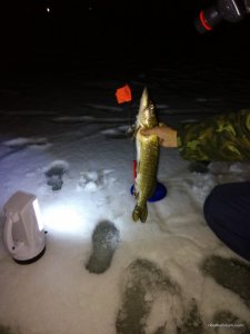 IMG_20170102_203345.jpg