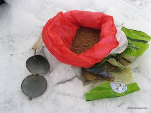IMG_1730.JPG