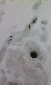 IMG_20170115_101304.jpg