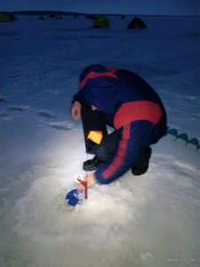 IMG_20170115_065903.jpg