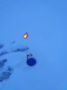 IMG_20161224_075224.jpg