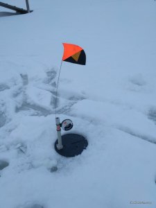 IMG_20161224_075738.jpg