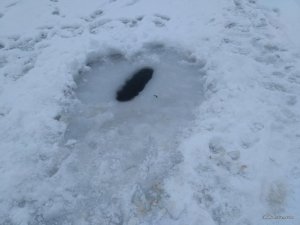 IMG_20161224_121753.jpg