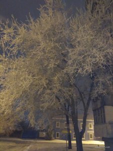 IMG_20170108_223655.jpg