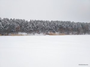 IMG_20170109_081050.jpg