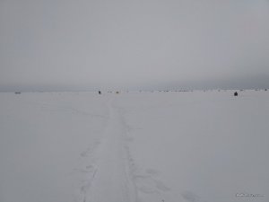 IMG_20170109_081056.jpg