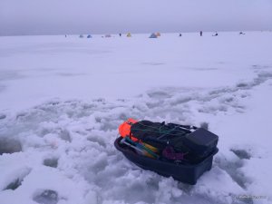 IMG_20170109_153223.jpg